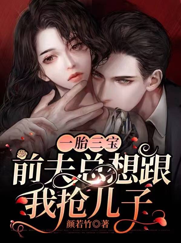 《一胎三宝：前夫总想跟我抢儿子》完整小说（全文在线免费阅读）